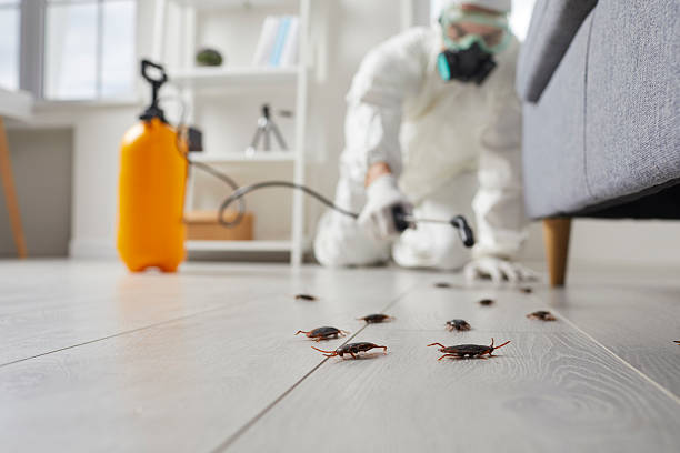 Commercial Kitchen Cockroach Control in Van Buren